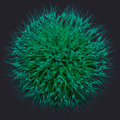 Virus Particle