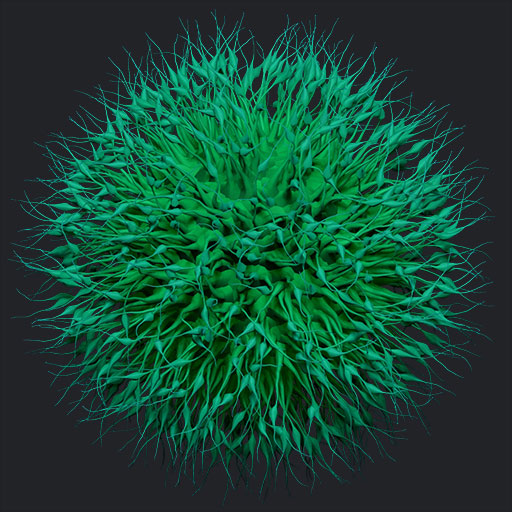 Virus Particle