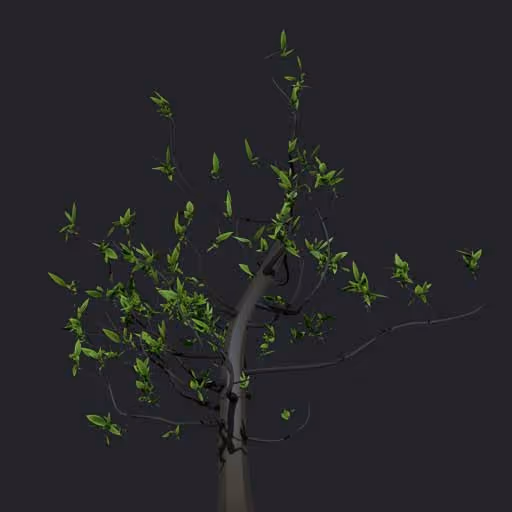 FiberMesh Trees steps (4 presets)