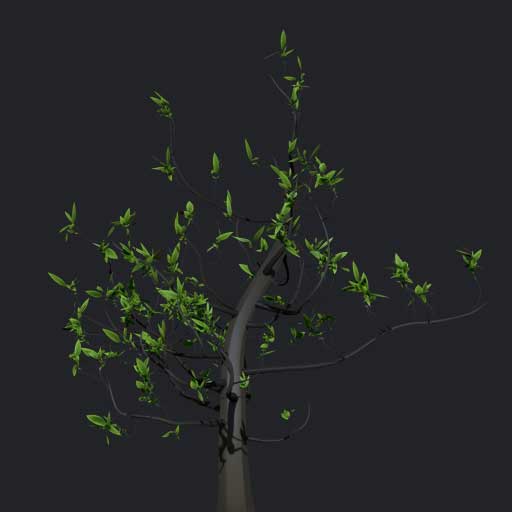 FiberMesh Trees steps (4 presets)