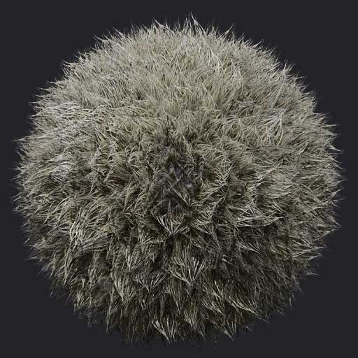 macaque Hair clumps light fur