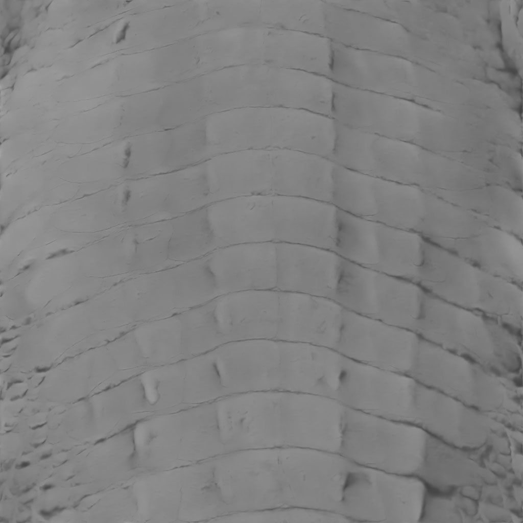Scales flat back
