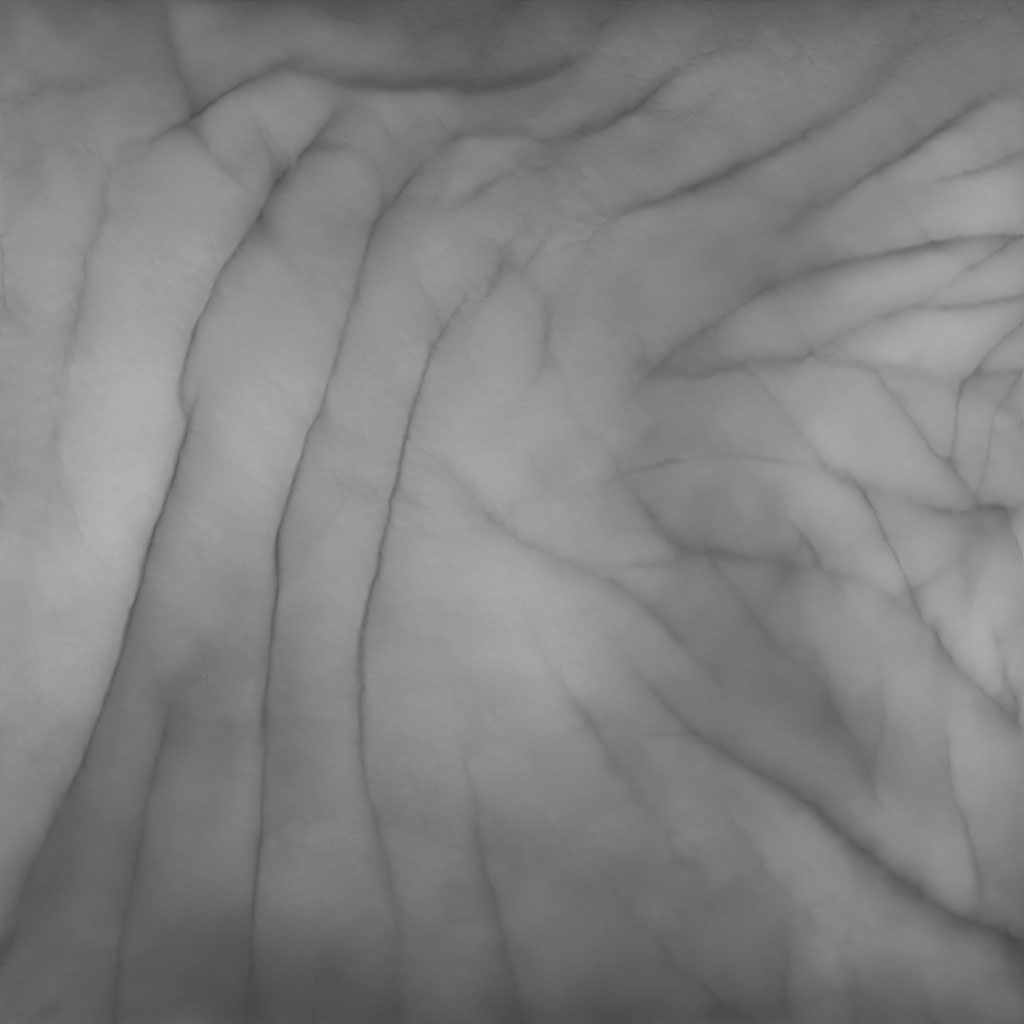 Thick Skin wrinkles 001