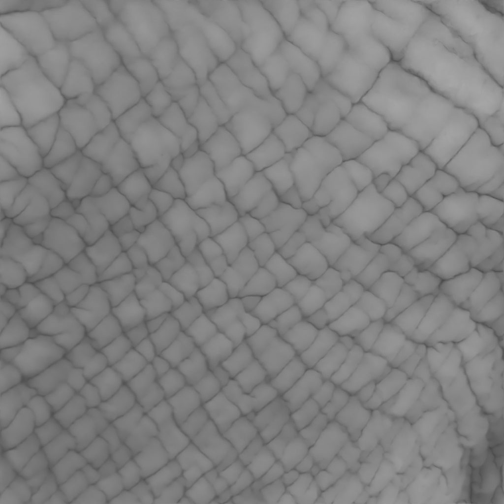 Thick Skin wrinkles 002
