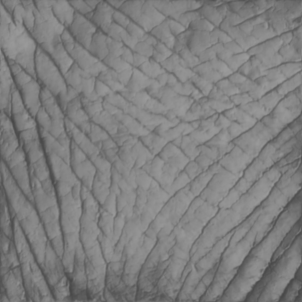 Thick Skin wrinkles 004