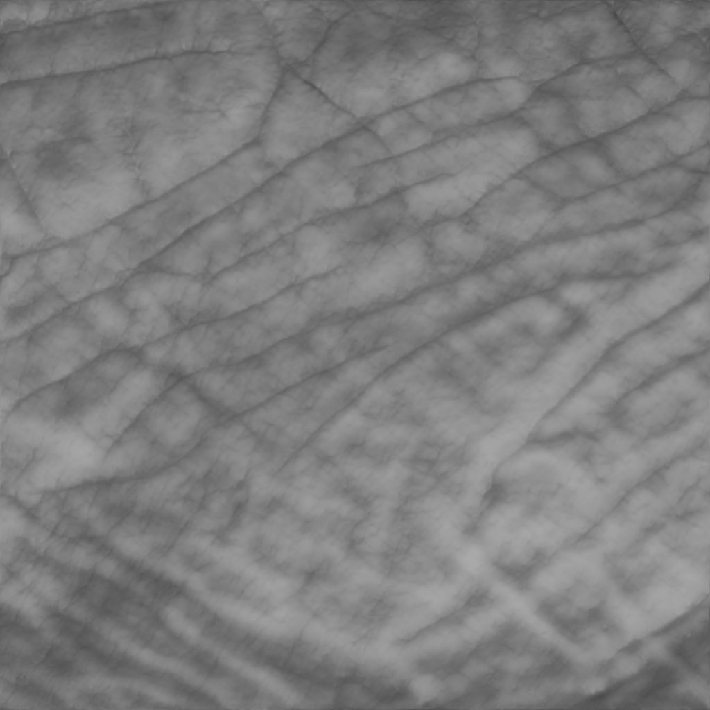 Thick Skin wrinkles 005