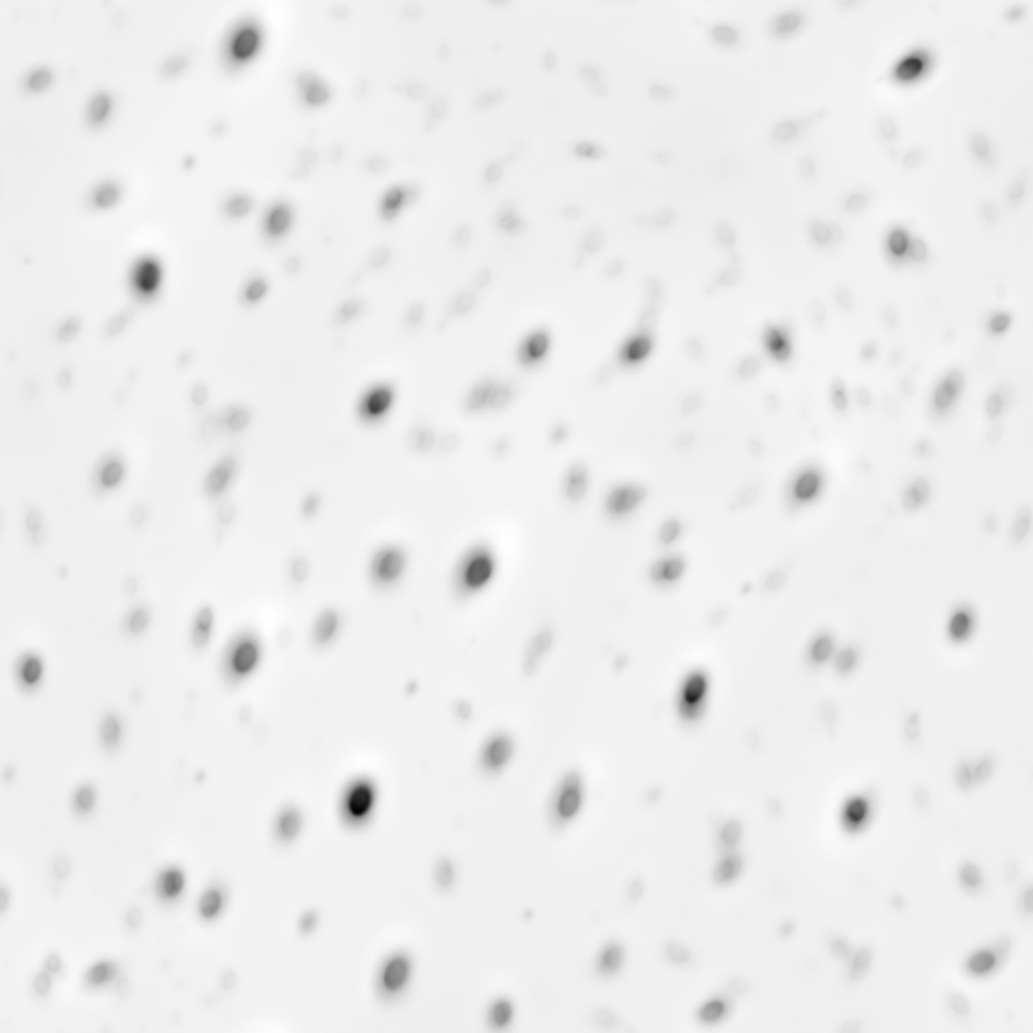 Skin Pores (T)