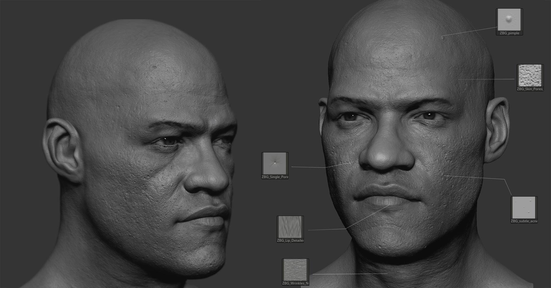 ZBrush SKIN Brushes Pack
