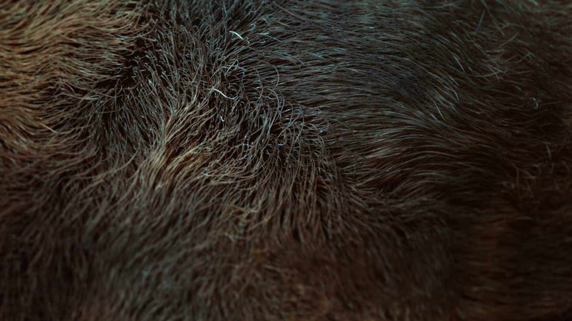 FiberMesh Grooming Kit