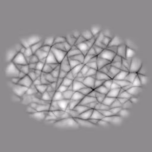 Skin pattern 02