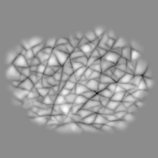 Skin pattern 02