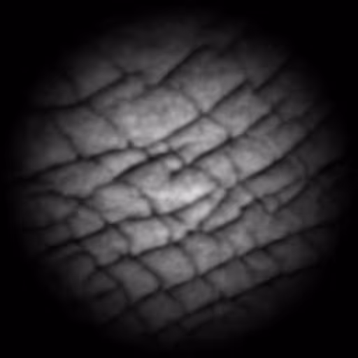 Skin pattern 03