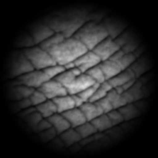 Skin pattern 03