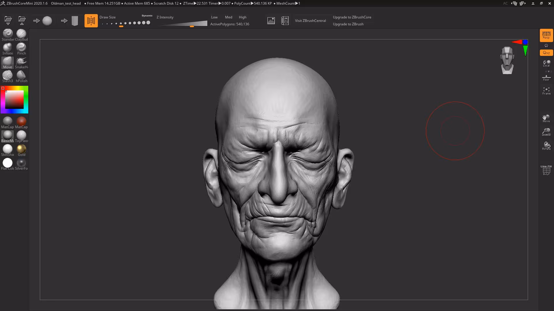 Old man test head