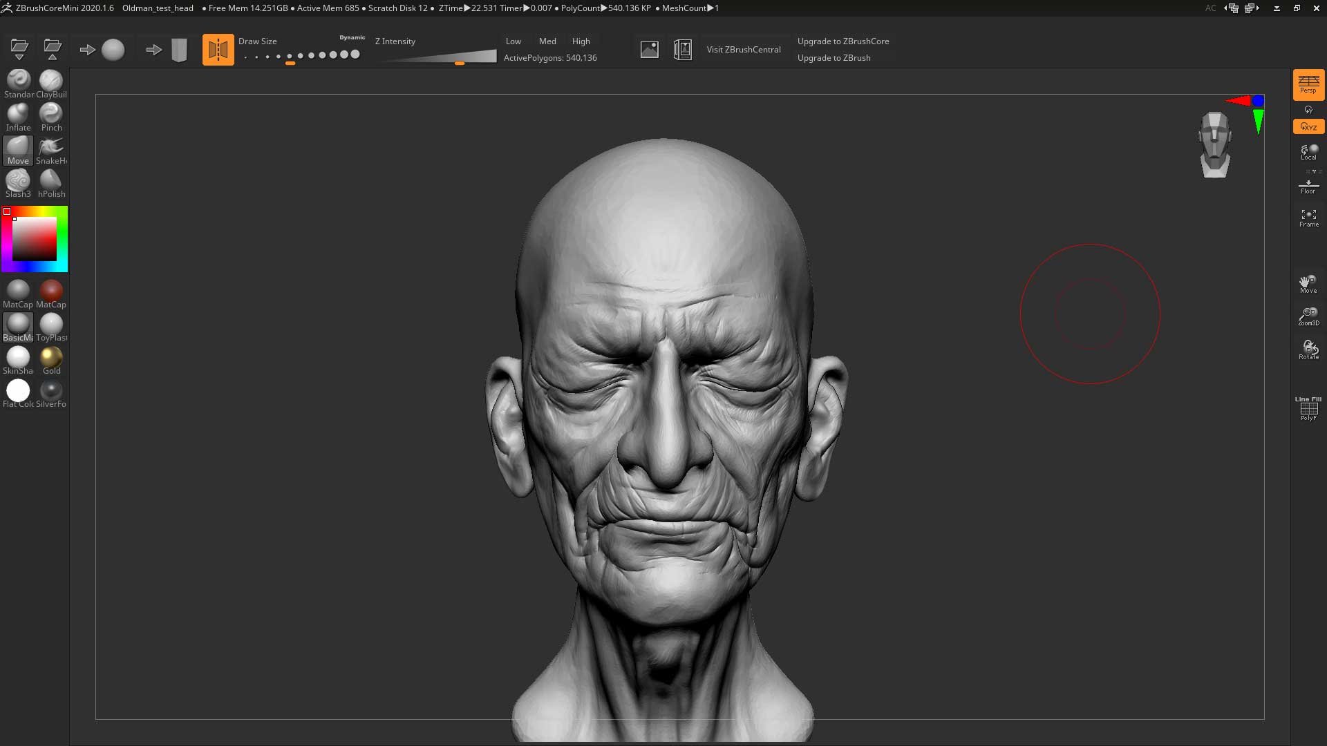 Old man test head