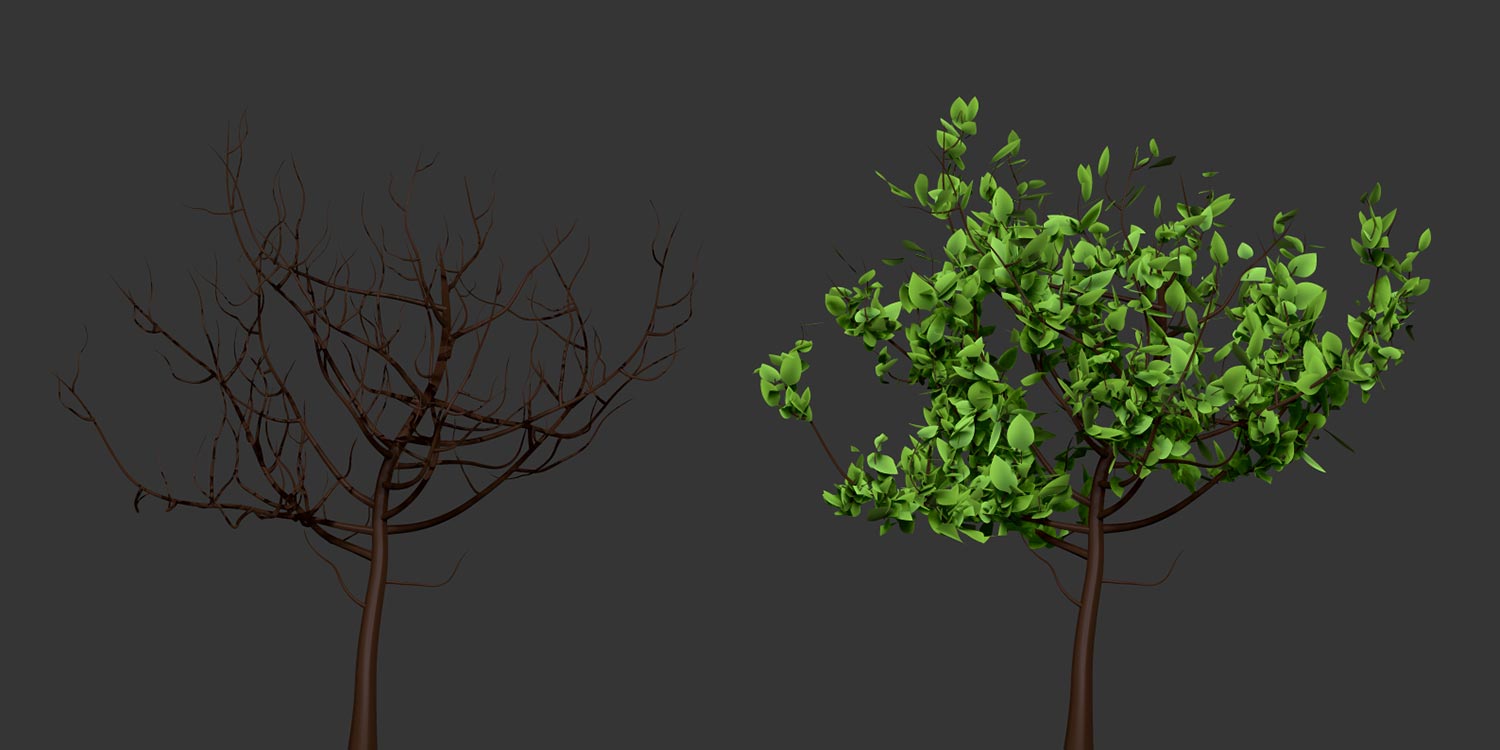 Treen and forest ZTool