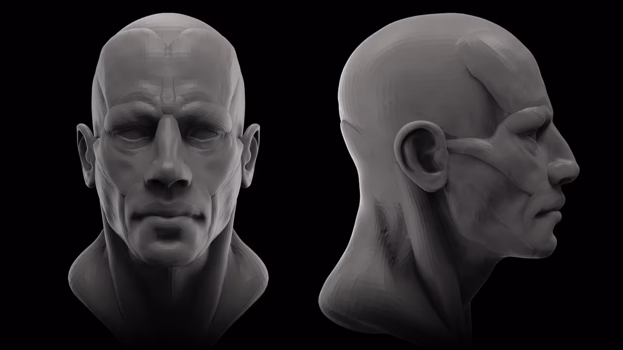 Modular Head