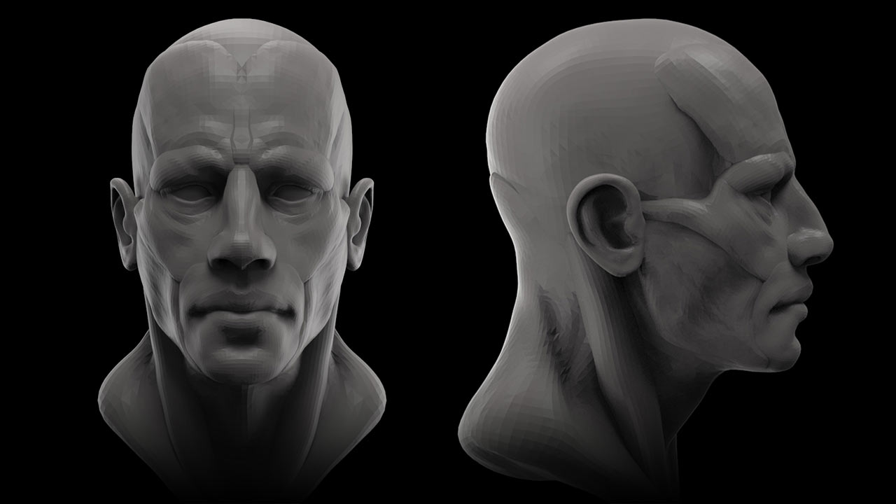 Modular Head