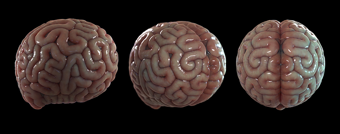 ‘Brainy’ stuff…