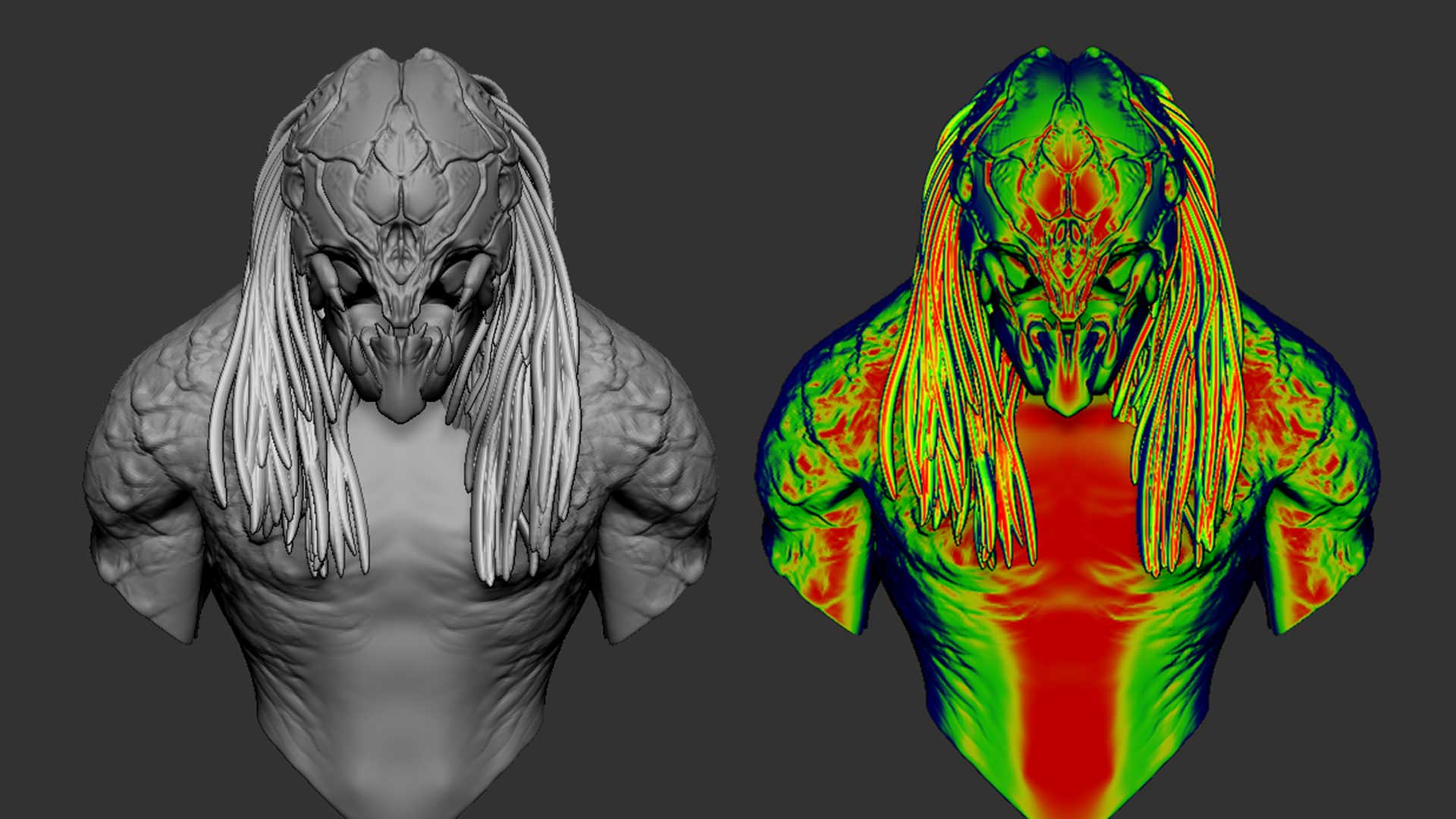 The Predator Vision