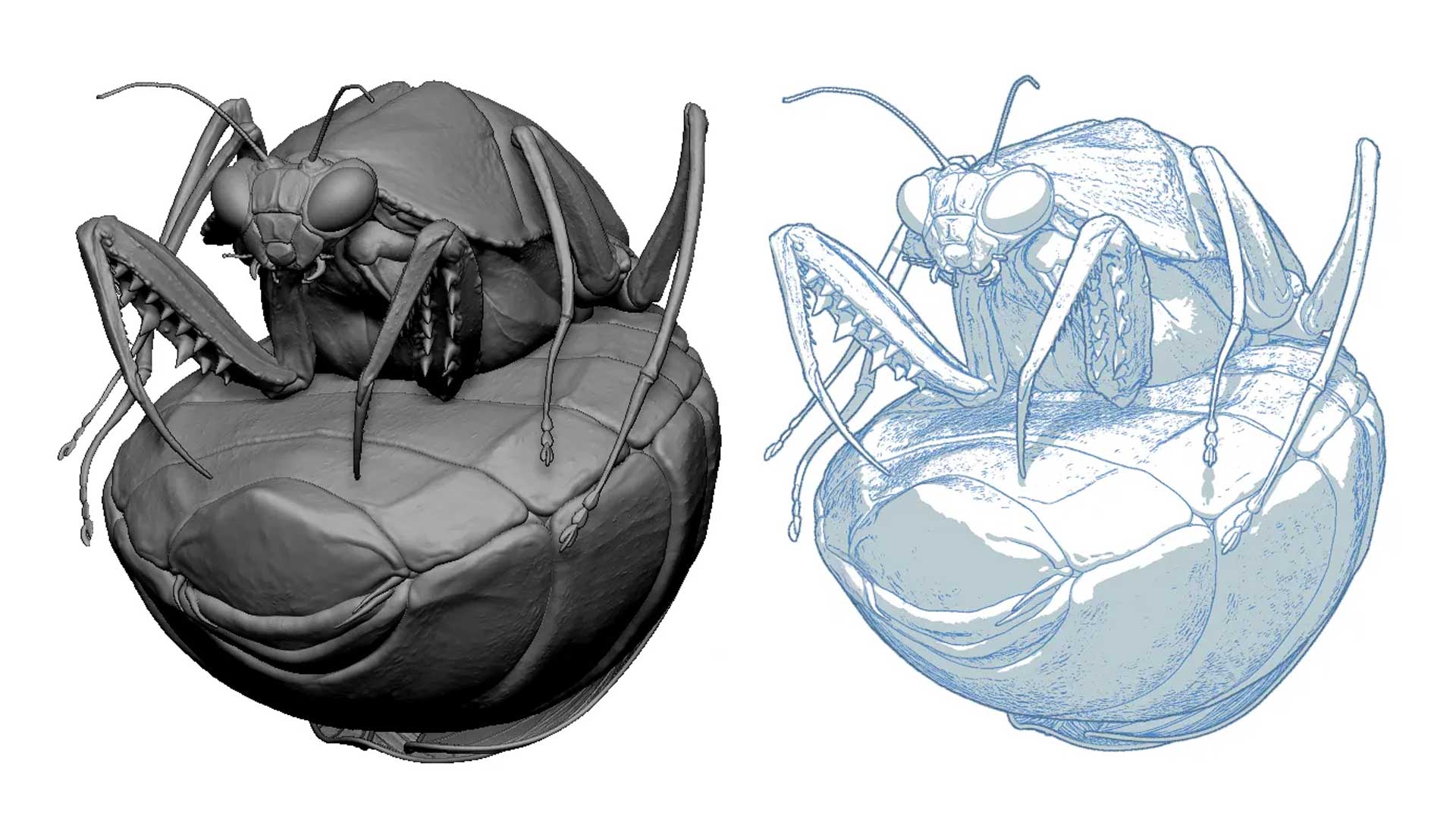 2D sketch from 3D mesh with NPR filters