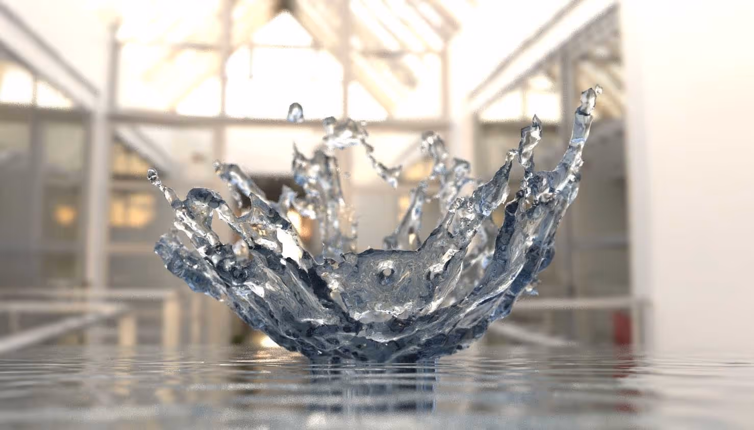 Splash from MeshSplat and Dynamics!