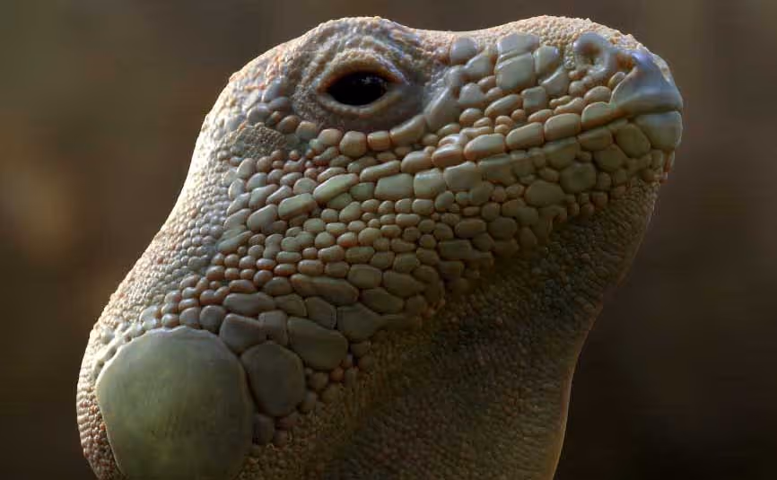 ZBrush tip: Scales and Lizard skin details