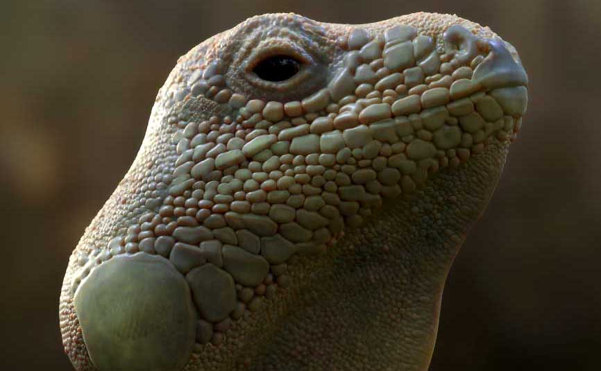ZBrush tip: Scales and Lizard skin details