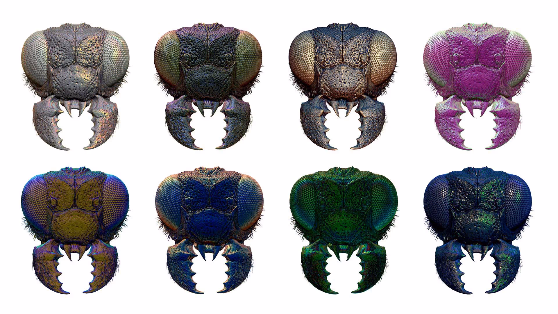 Insect Detailing Brushes for ZBrush