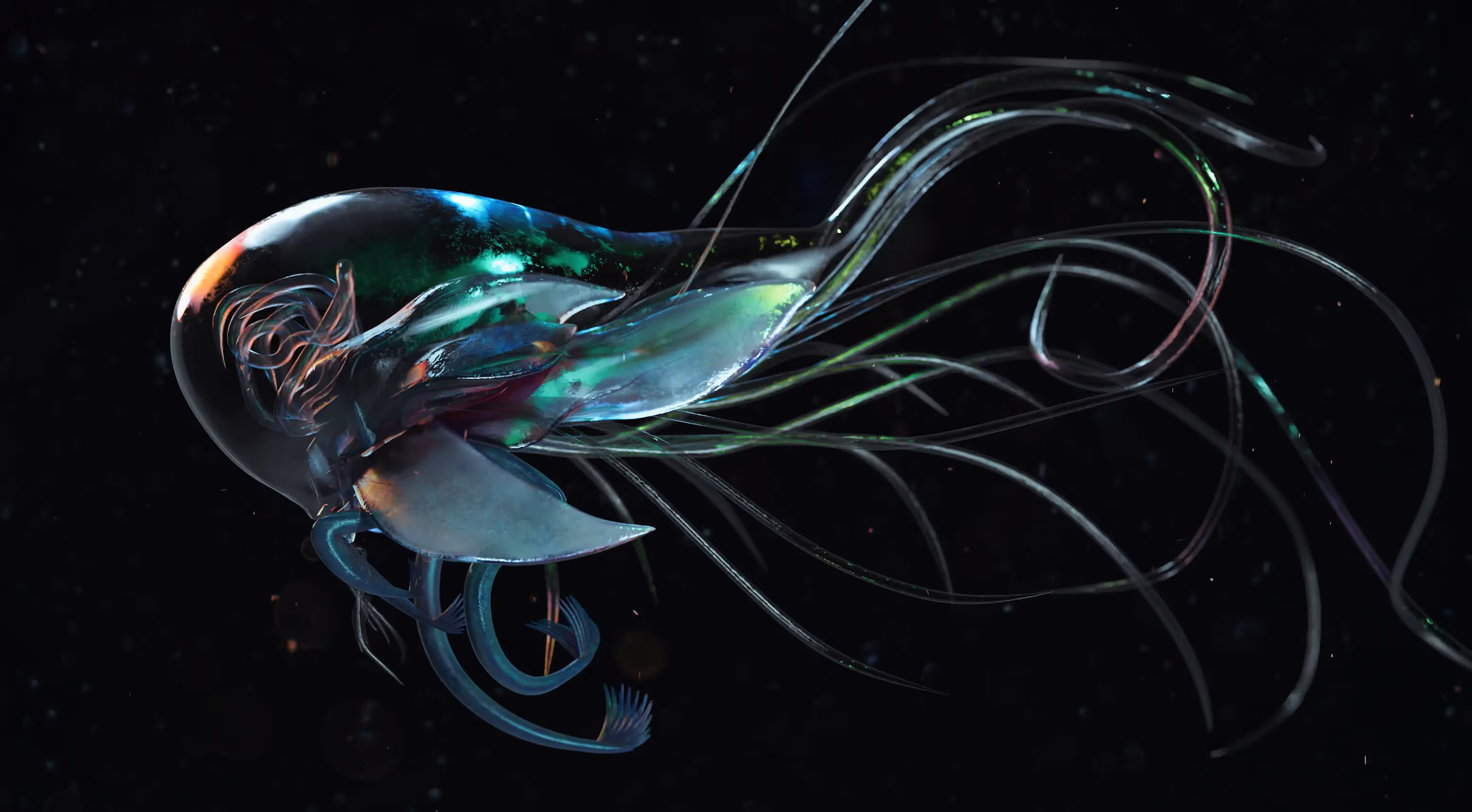 Creatures of the Deep Art Contest