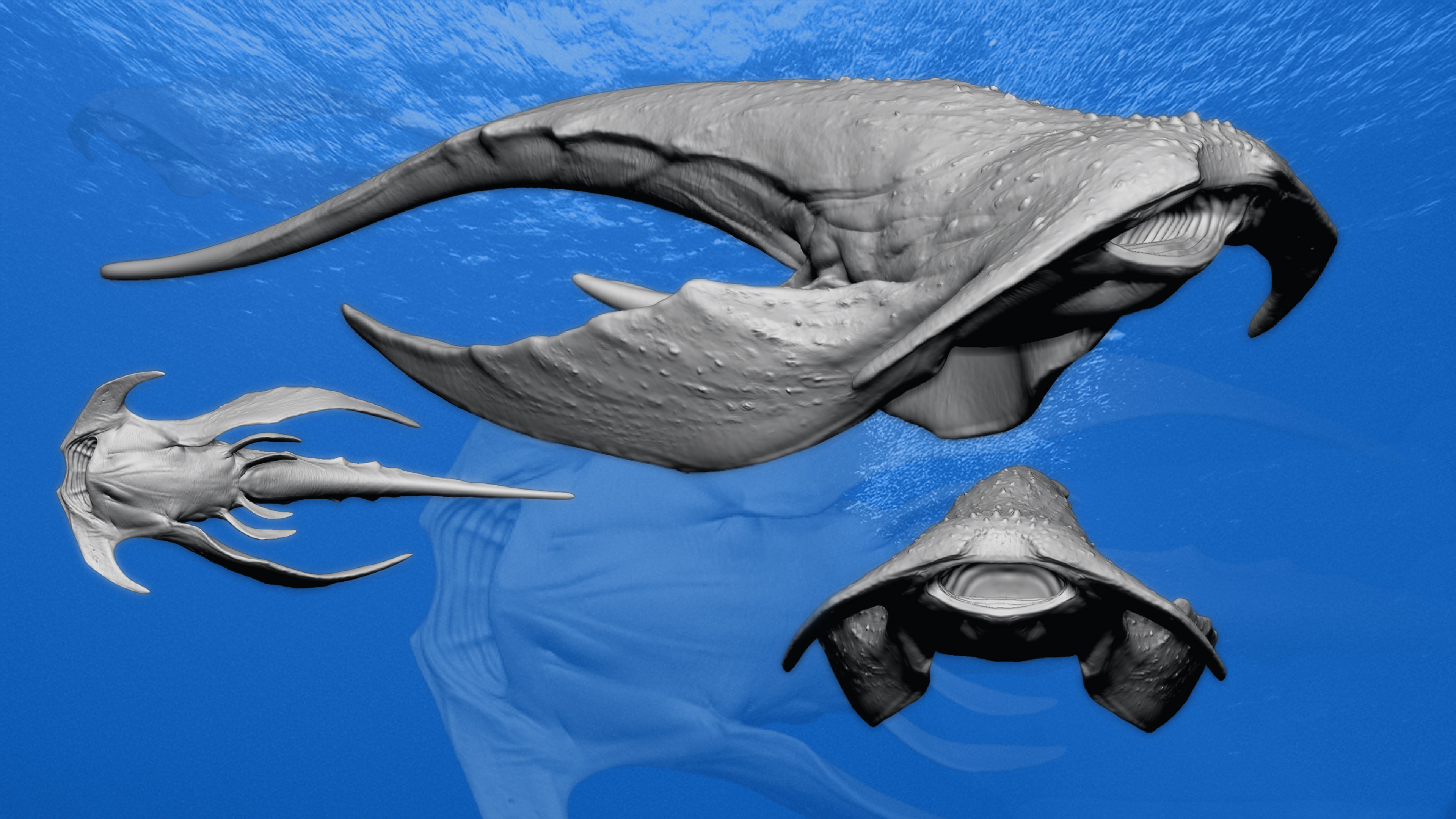 Creature of the Deep – secondary forms and details