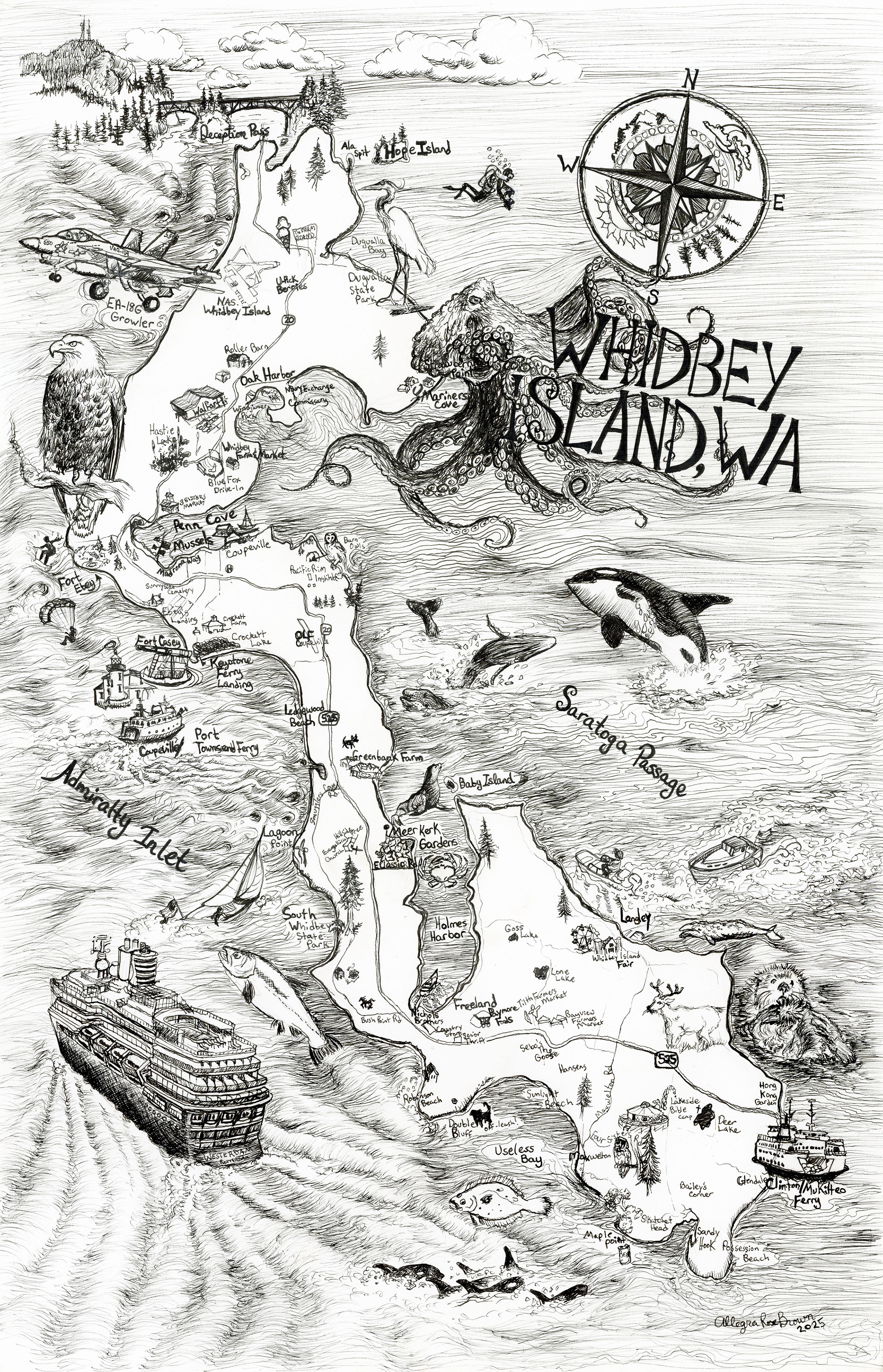 Phil, 11x15", watercolor on paper