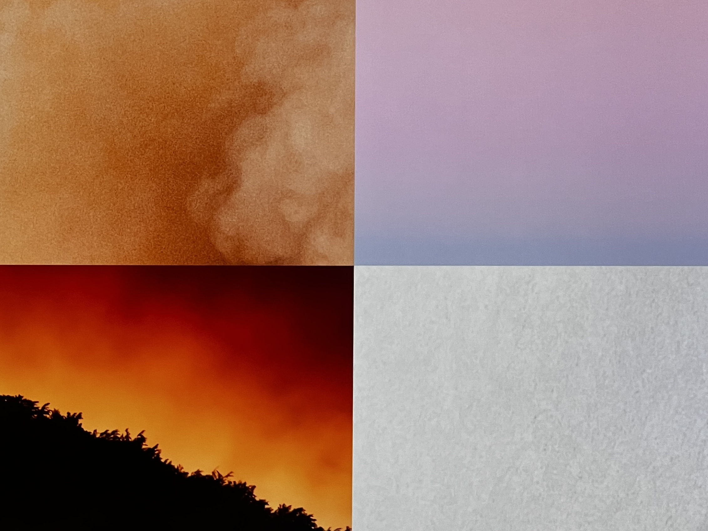 Four scenarios used to illustrate the different realities in 2055. Images by EY.