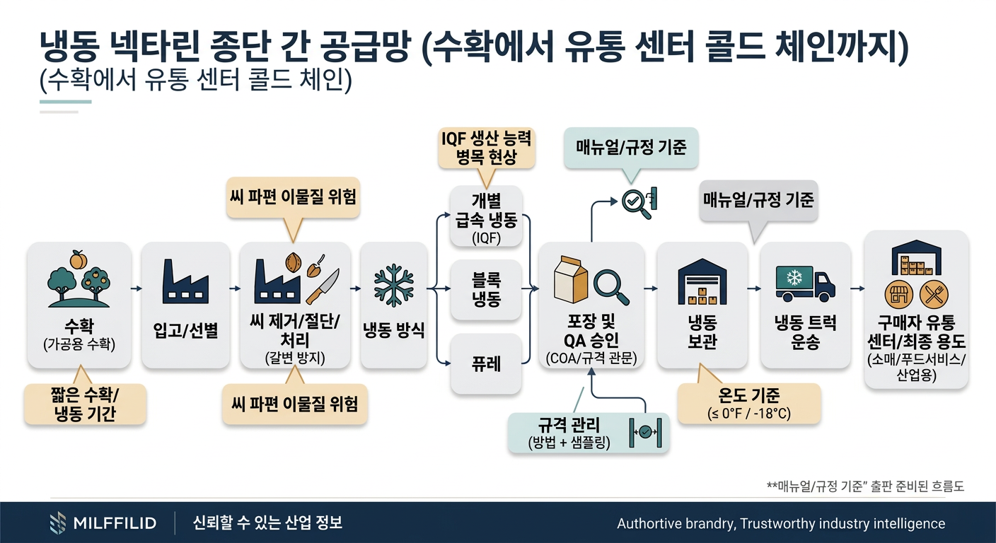 A left-to-right (or top-to-bottom) flow diagram showing the real-world frozen-nectarine chain: Orchards (processing-grade harvest) → Receiving/Sorting → Pitting/Cutting/Treatment (anti-browning) → Freezing Format (IQF vs Block vs Puree) → Packaging & QA Release (COA/spec gates) → Cold Storage → Reefer Transport → Buyer DC/End Use (retail/foodservice/industrial). Includes callouts for short harvest/freezing window, IQF capacity bottleneck, pit-fragment foreign material hazard, spec governance (method + sampling), and temperature baseline (≤ 0°F / -18°C), using simple icons and minimal text labels.