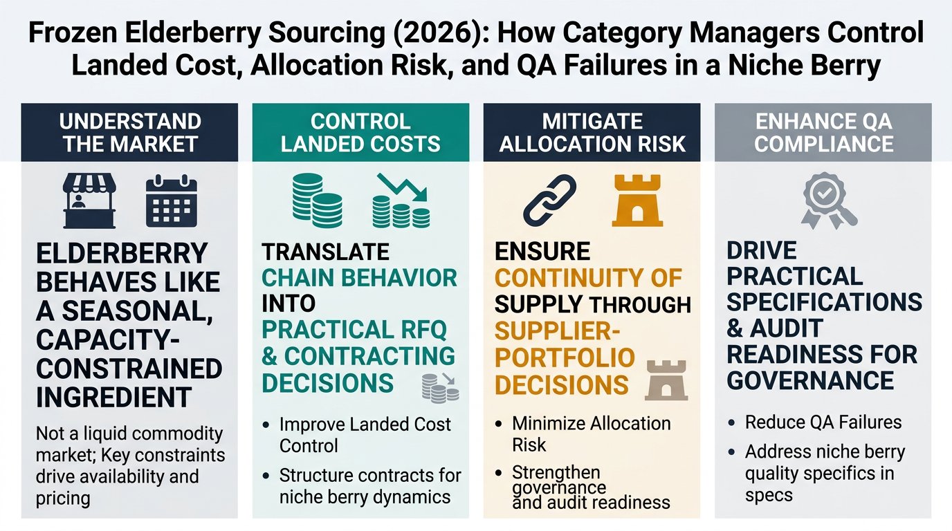 frozen-elderberry Cover