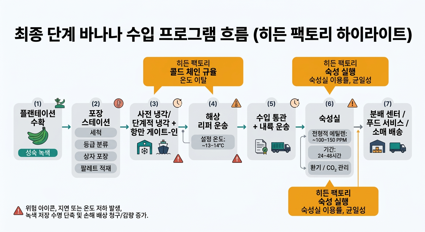 A left-to-right flowchart showing the U.S. banana import program from plantation harvest through packing, pre-cool and port gate-in, ocean reefer transport (target ~13–14°C), import clearance and inland drayage, ripening rooms (typical ethylene ~100–150 ppm for 24–48 hours with ventilation/CO2 management), and final DC/foodservice/retail delivery, emphasizing the hidden factories of cold chain discipline and ripening execution with risk icons for delays and temperature breaks.