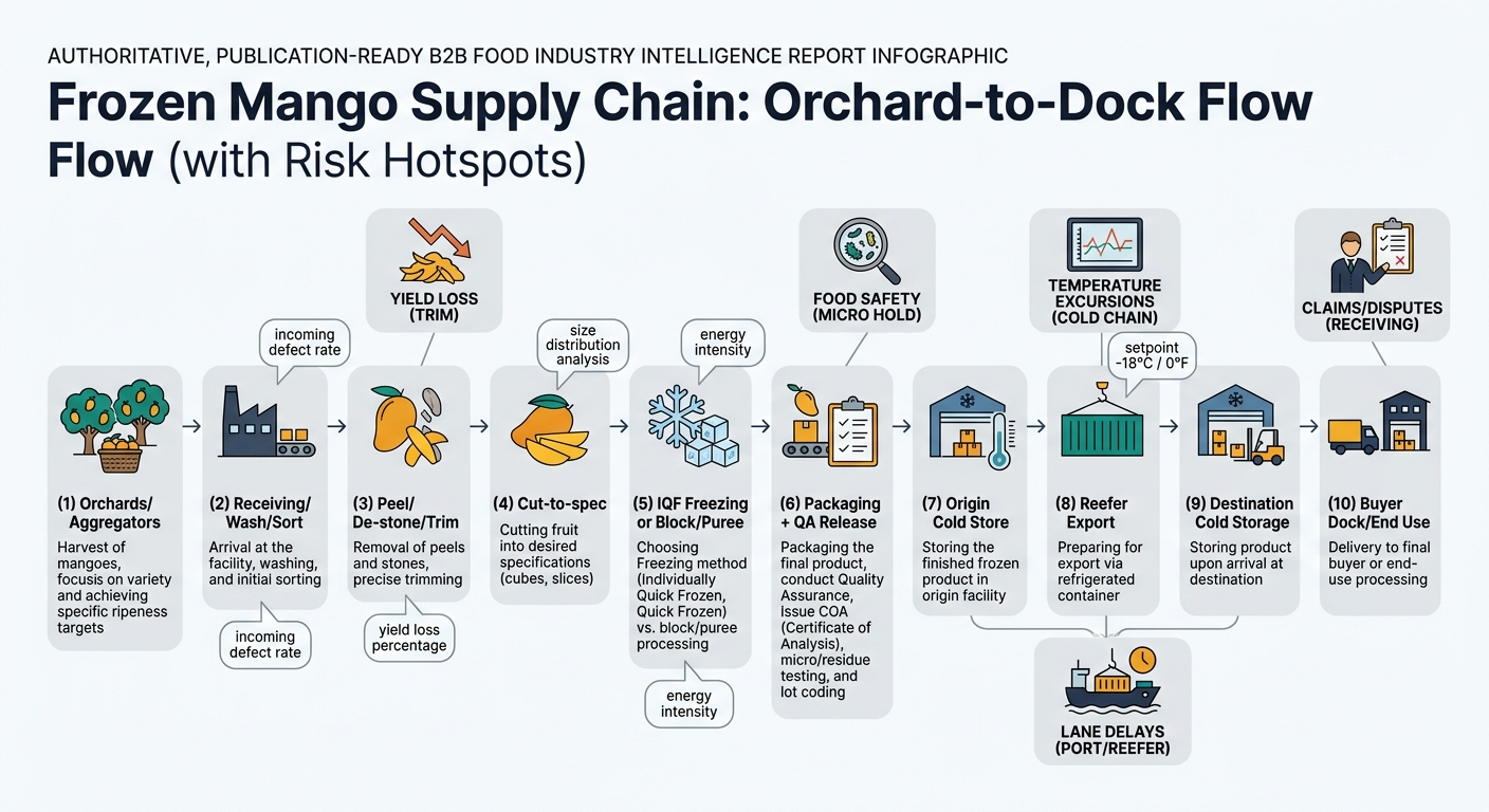 Flowchart showing the end-to-end frozen mango path from orchards/aggregators through processing, freezing, packaging, cold storage, reefer export at -18°C/0°F, destination cold storage, and buyer dock, with risk hotspot callouts for yield loss, food safety holds, temperature excursions, lane delays, and claims/disputes.