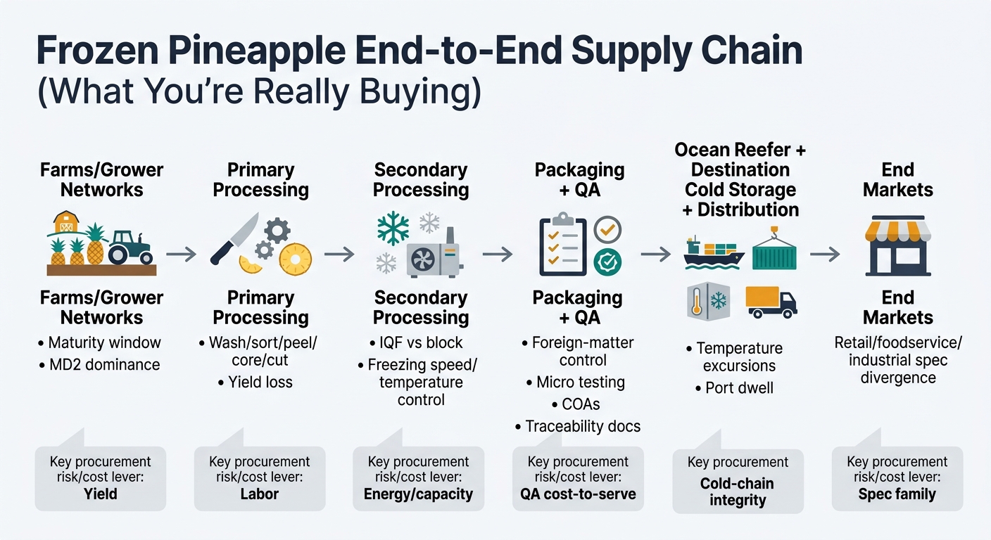 A left-to-right flow diagram showing the frozen pineapple supply chain with 6 labeled nodes: (1) Farms/Grower Networks (maturity window, MD2 dominance), (2) Primary Processing (wash/sort/peel/core/cut; yield loss), (3) Secondary Processing (IQF vs block; freezing speed/temperature control), (4) Packaging + QA (foreign-matter control, micro testing, COAs, traceability docs), (5) Ocean Reefer + Destination Cold Storage + Distribution (temperature excursions, port dwell), (6) End Markets (retail/foodservice/industrial spec divergence). Add small callouts under each node for the key procurement risk/cost lever (yield, labor, energy/capacity, QA cost-to-serve, cold-chain integrity, spec family). Use neutral icons (farm, knife/gear, snowflake, checklist, container/truck, storefront) and avoid any dashboard UI styling.