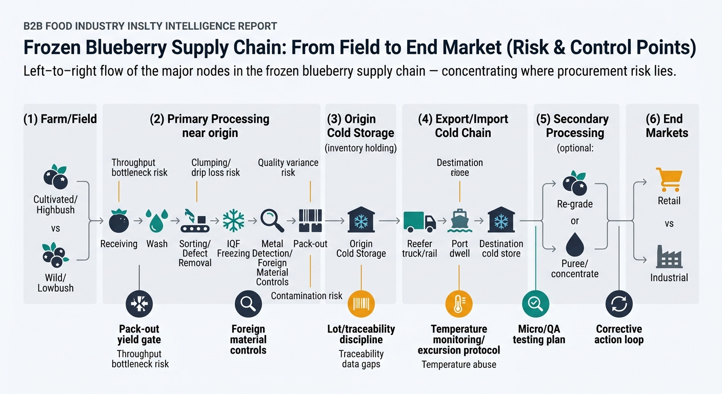 Flowchart showing the frozen blueberry supply chain from field to end market with procurement risk and control points (pack-out yield gate, foreign material controls, lot/traceability discipline, temperature monitoring, micro/QA testing, corrective action loop) across farm (cultivated vs wild), primary processing, cold storage, import cold chain, secondary processing, and retail vs industrial end markets.