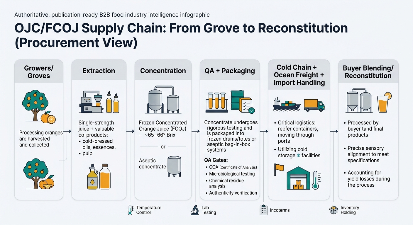 A left-to-right flowchart showing the end-to-end orange juice concentrate supply chain with procurement-relevant callouts from growers/groves through extraction, concentration (FCOJ or aseptic), QA and packaging gates (COA, micro, residue, authenticity), cold chain and ocean freight with Incoterms/temperature-risk transfer, and buyer blending/reconstitution; includes small icons for temperature control, lab testing, and inventory holding.