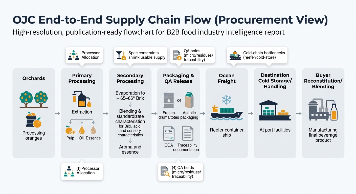 A left-to-right flowchart showing the practical OJC chain from orchards through processing, concentration, packaging & QA release, ocean freight, destination cold storage/handling, and buyer reconstitution/blending, with callouts for processor allocation, spec constraints shrinking usable supply, cold-chain bottlenecks, and QA holds.
