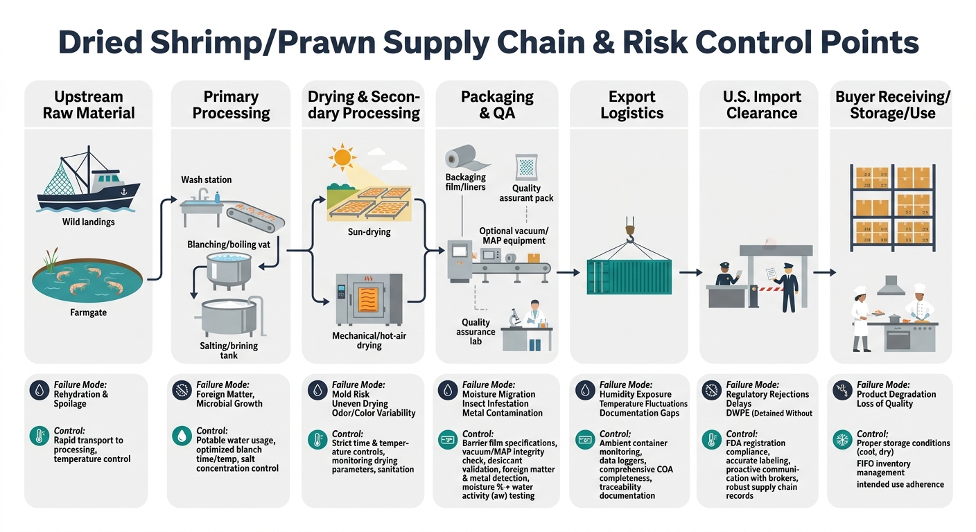 A supply-chain flow diagram for dried shrimp/prawn showing stages from upstream raw material through processing, drying (sun vs mechanical), packaging & QA, export logistics, U.S. import clearance, and buyer receiving/storage, with risk-control callouts for issues like rehydration, mold risk, foreign matter, odor/color variability, and documentation gaps and corresponding controls such as aw/moisture specs, packaging barriers, COA completeness, and traceability.