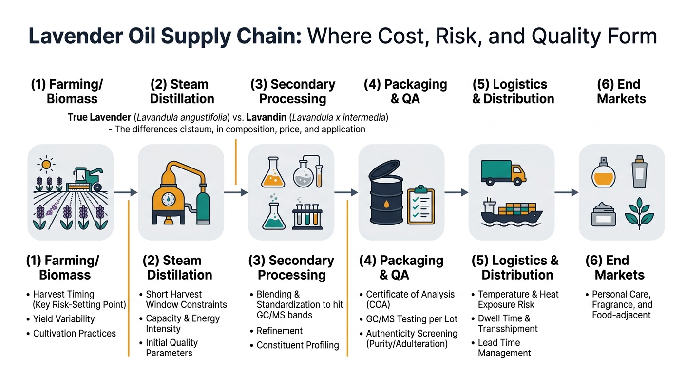 A clean left-to-right flow diagram showing the end-to-end B2B path: (1) Farming/biomass (harvest timing, yield variability) → (2) Steam distillation (capacity/energy constraints during a short window) → (3) Secondary processing (blending/standardization to hit GC/MS bands) → (4) Packaging & QA (COA, GC/MS per lot, authenticity screening) → (5) Logistics & distribution (heat exposure, dwell time, lead time) → (6) End markets (fragrance/personal care/food-adjacent). Add callouts on the two key splits: 'True lavender vs Lavandin' and 'Distiller vs Blender/Standardizer vs Distributor'. Use simple icons (field, still, lab flask, drum, truck/ship, bottle) and highlight the harvest window as the main risk-setting point.