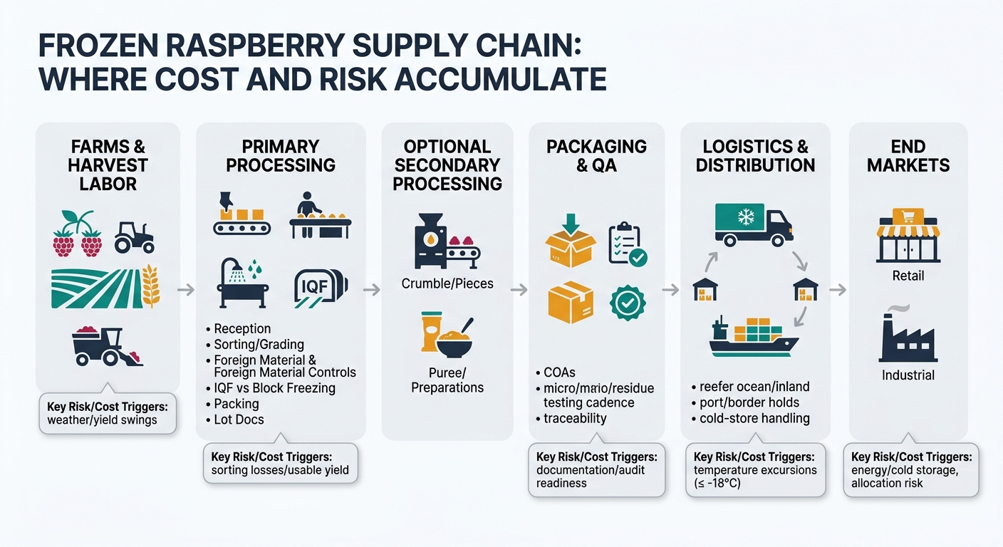 A left-to-right supply chain flow showing: Farms & Harvest Labor → Primary Processing (Reception, Sorting/Grading, Foreign Material Controls, IQF vs Block Freezing, Packing, Lot Docs) → Optional Secondary Processing (Crumble/Pieces, Puree/Preparations) → Packaging & QA (COAs, micro/residue testing cadence, traceability) → Logistics & Distribution (reefer ocean/inland, port/border holds, cold-store handling) → End Markets (Retail vs Industrial), with callout tags for weather/yield swings, sorting losses/usable yield, energy/cold storage, documentation/audit readiness, temperature excursions (≤ -18°C), and allocation risk.