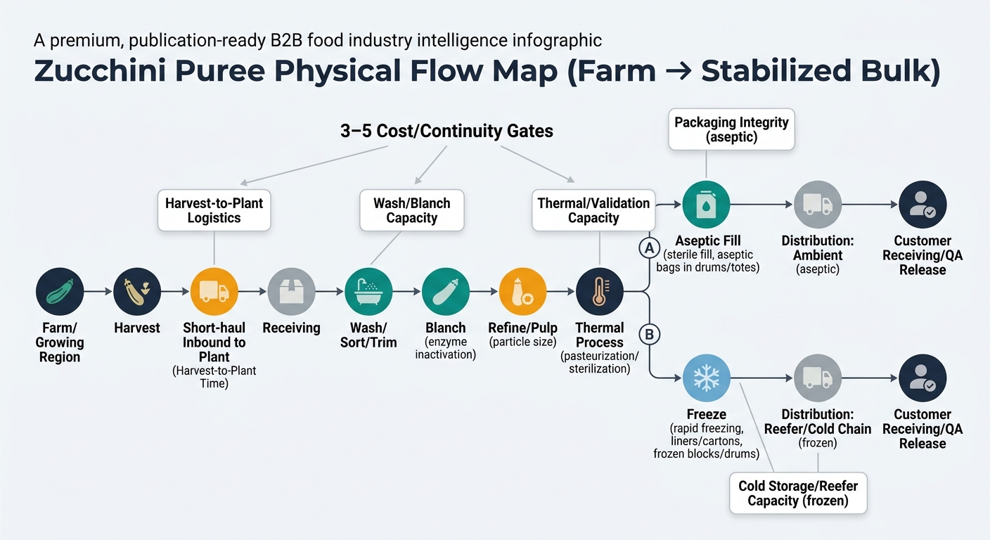 A left-to-right supply chain flow diagram showing the physical movement and transformation of zucchini into puree, from farm and harvest through processing steps (receiving, wash/sort/trim, blanch, refine/pulp, thermal process) and split stabilization paths (aseptic fill vs freeze), ending with distribution (ambient vs reefer/cold chain) and customer receiving/QA release, with callouts for cost/continuity gates such as harvest-to-plant logistics, wash/blanch capacity, thermal/validation capacity, packaging integrity, and cold storage/reefer capacity.
