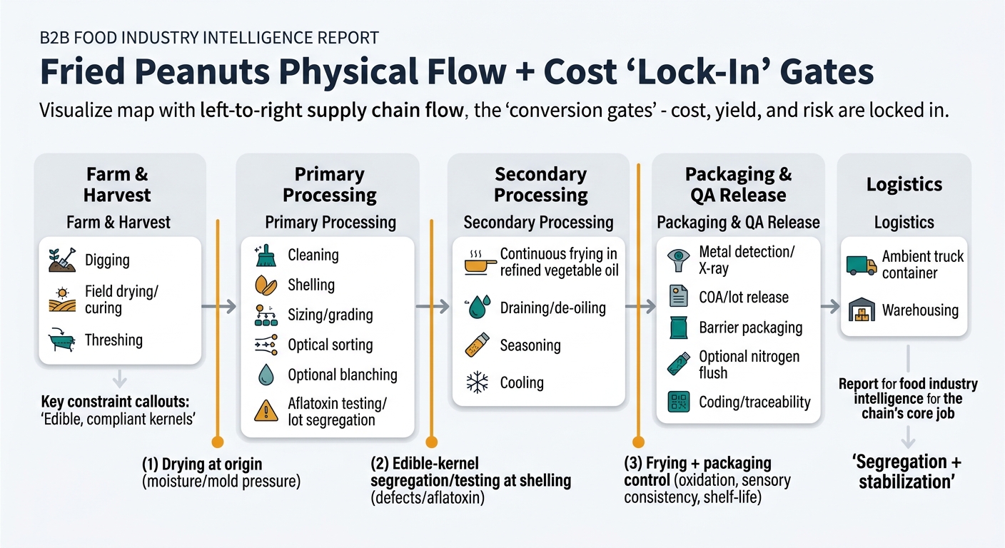 A left-to-right supply chain flow showing: Farm & Harvest (digging, field drying/curing, threshing) → Primary Processing (cleaning, shelling, sizing/grading, optical sorting, optional blanching, aflatoxin testing/lot segregation) → Secondary Processing (continuous frying in refined vegetable oil, draining/de-oiling, seasoning, cooling) → Packaging & QA Release (metal detection/X-ray, COA/lot release, barrier packaging, optional nitrogen flush, coding/traceability) → Logistics (ambient truck/container, warehousing). Visually emphasize the three ‘conversion gates’ where cost/yield/risk lock in: (1) Drying at origin (moisture/mold pressure), (2) Edible-kernel segregation/testing at shelling (defects/aflatoxin), (3) Frying + packaging control (oxidation, sensory consistency, shelf-life). Add small callouts for key constraints: ‘Edible, compliant kernels’ and ‘Segregation + stabilization’ as the chain’s core job. Avoid any dashboard-like UI; use neutral icons and process blocks.