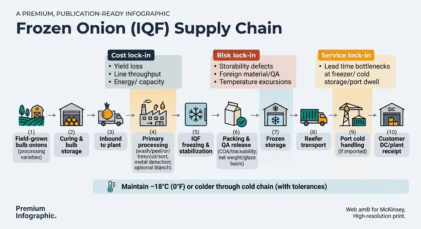 A left-to-right supply chain flow showing: (1) Field-grown bulb onions (processing varieties) → (2) Curing & bulb storage → (3) Inbound to plant → (4) Primary processing (wash/peel/trim/cut/sort; metal detection; optional blanch) → (5) IQF freezing & stabilization → (6) Packing & QA release (COA/traceability; net weight/glaze basis) → (7) Frozen storage → (8) Reefer transport (truck/container) → (9) Port cold handling (if imported) → (10) Customer DC/plant receipt. Includes color-coded overlays for cost lock-in, risk lock-in, and service lock-in, plus a banner stating to maintain −18°C (0°F) or colder through the cold chain (with tolerances), with simple stage icons and short callouts.