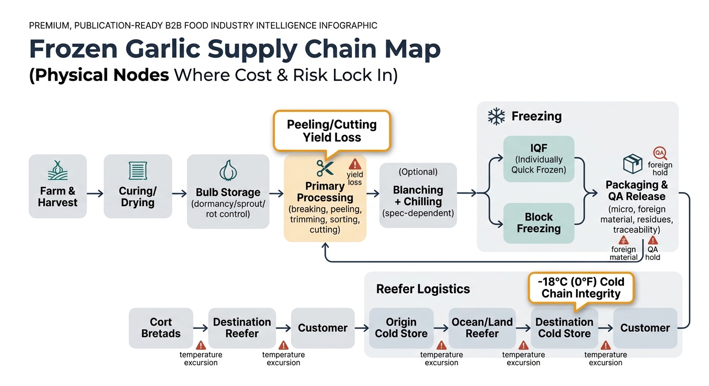 A left-to-right supply chain flow showing the physical steps from Farm & Harvest → Curing/Drying → Bulb Storage (dormancy/sprout/rot control) → Primary Processing (breaking, peeling, trimming, sorting, cutting; highlight yield loss) → Optional Blanching + Chilling (spec-dependent) → Freezing (branch into IQF vs Block) → Packaging & QA Release (micro, foreign material, residues, traceability; show as a gate/hold point) → Reefer Logistics (origin cold store → ocean/land reefer → destination cold store → customer). Visually emphasize two lock-in points with callouts: (1) 'Peeling/Cutting Yield Loss' and (2) '-18°C (0°F) Cold Chain Integrity'. Add small risk icons at nodes: yield loss, foreign material, QA hold, temperature excursion. No dashboards or product UI mockups.