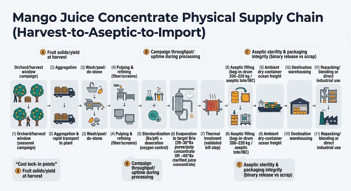 A left-to-right supply chain flow showing the physical transformation and handoffs from orchard/harvest window through aggregation, washing/peeling/de-stoning, pulping and refining, standardization and deaeration, evaporation to target Brix (28–30°Bx puree/pulp concentrate or ~65°Bx clarified juice concentrate), thermal treatment, aseptic filling (bag-in-drum 200–220 kg or aseptic tote/IBC), ambient dry-container ocean freight, destination warehousing, and repacking/blending or direct industrial use, with callouts for cost lock-in points: fruit solids/yield at harvest, campaign throughput/uptime during processing, and aseptic sterility/packaging integrity (binary release vs scrap).