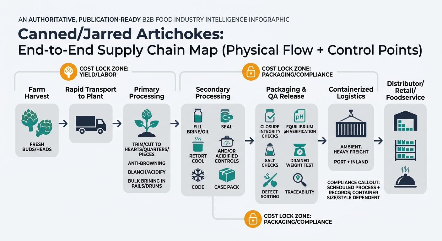 A left-to-right supply chain flow showing: Farm Harvest (fresh buds/heads) → Rapid Transport to Plant → Primary Processing (trim/cut to hearts/quarters/pieces; anti-browning; blanch/acidify; bulk brining in pails/drums) → Secondary Processing (fill brine/oil; seal; retort and/or acidified controls; cool; code; case pack) → Packaging & QA Release (closure integrity checks, equilibrium pH verification, salt checks, drained weight test, defect sorting, traceability) → Containerized Logistics (ambient, heavy freight; port + inland) → Distributor/Retail/Foodservice, with callouts for upstream yield/labor cost lock, downstream packaging/compliance cost lock, and a compliance note about scheduled process plus records being container size/style dependent.